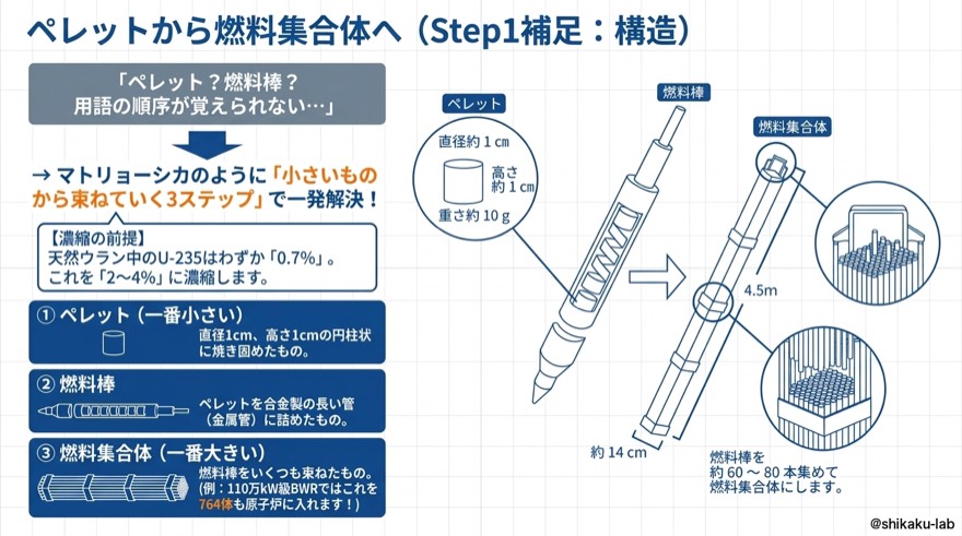 ペレットから燃料集合体｜Step1補足・構造